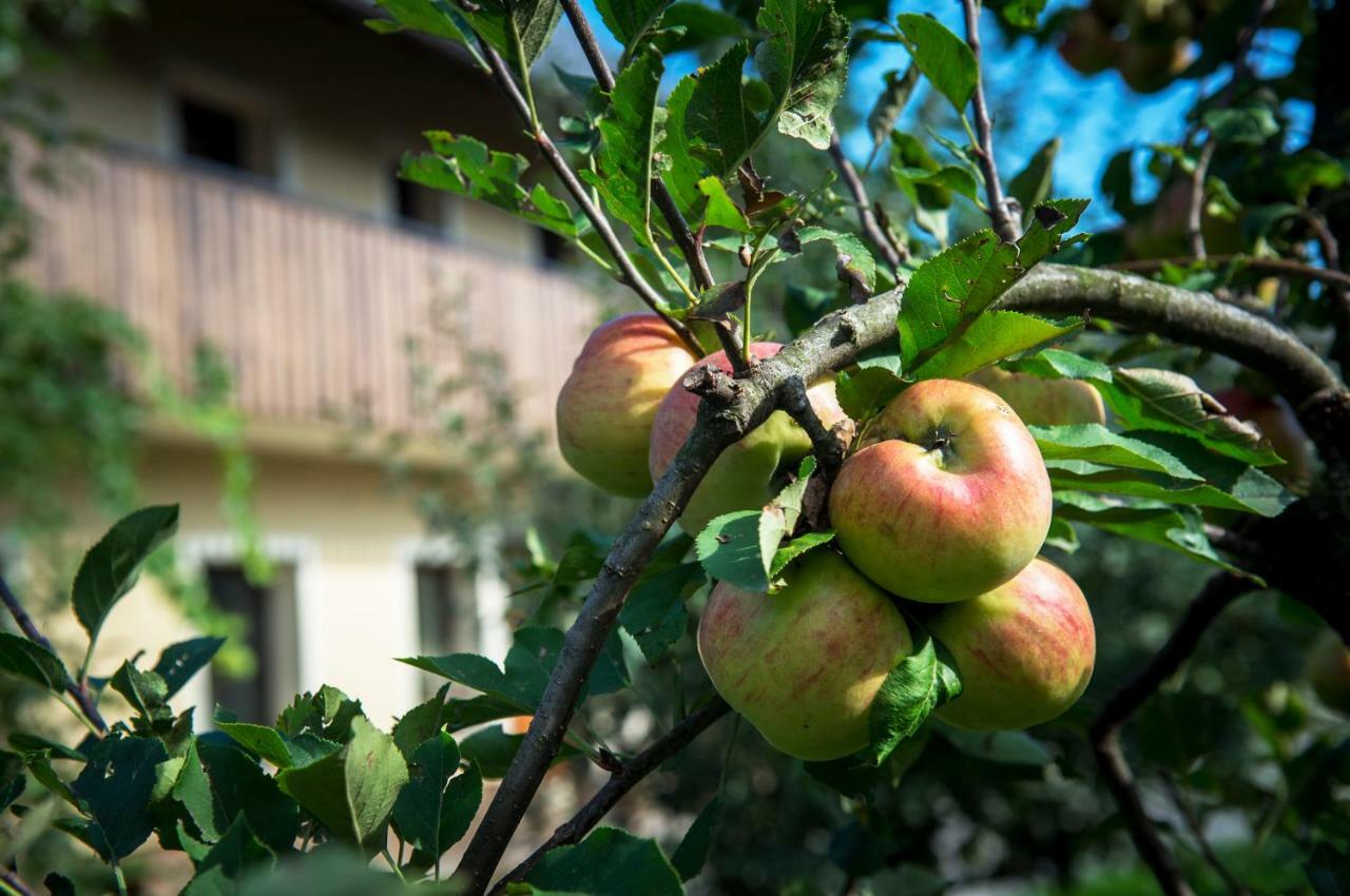 Pr'Jernejc Agroturism Villa Lesce  Dış mekan fotoğraf