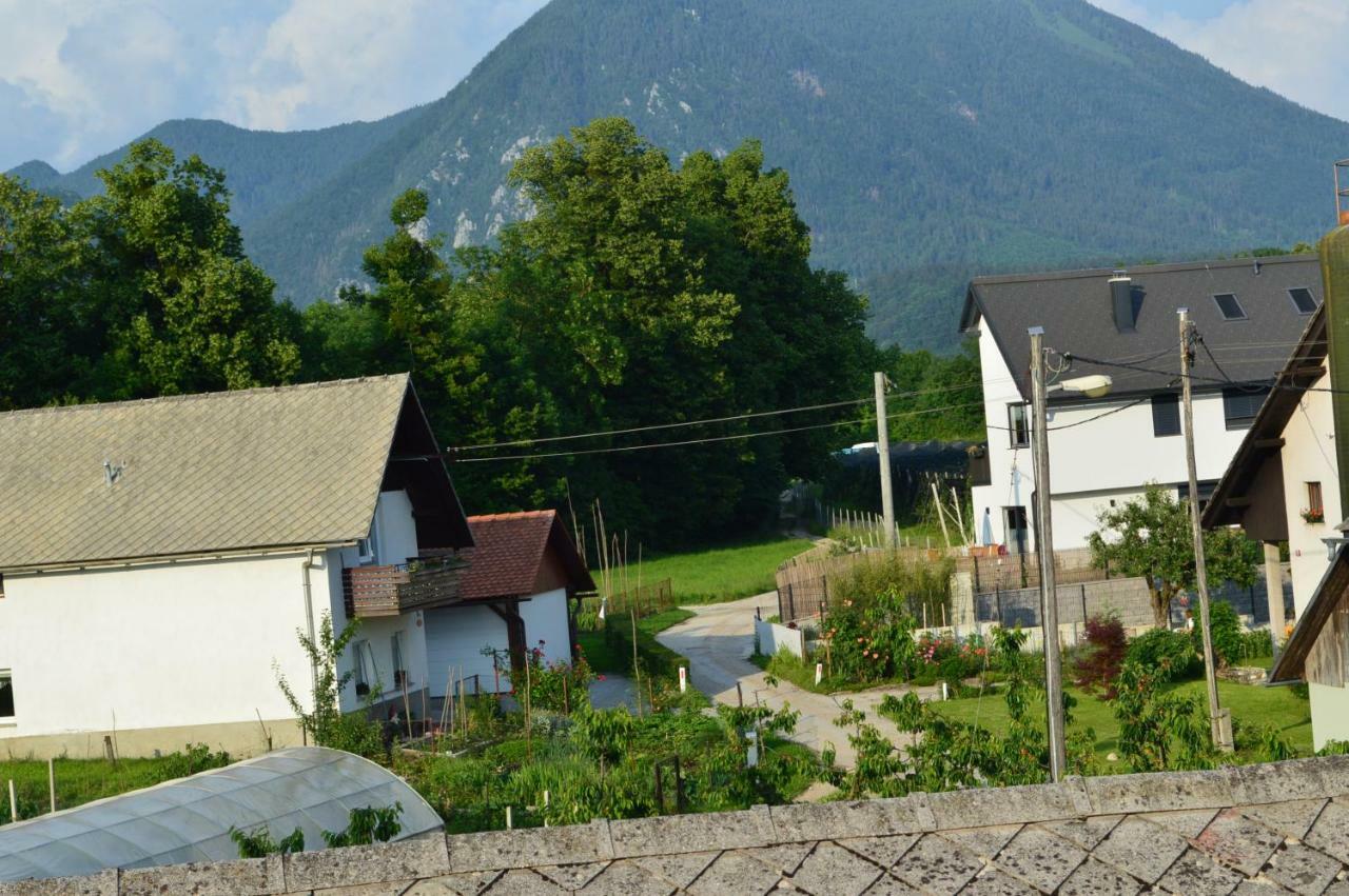 Pr'Jernejc Agroturism Villa Lesce  Dış mekan fotoğraf